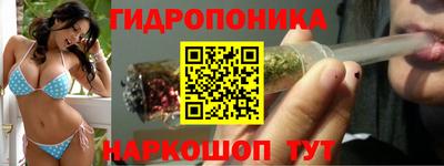 дурь Берёзовский