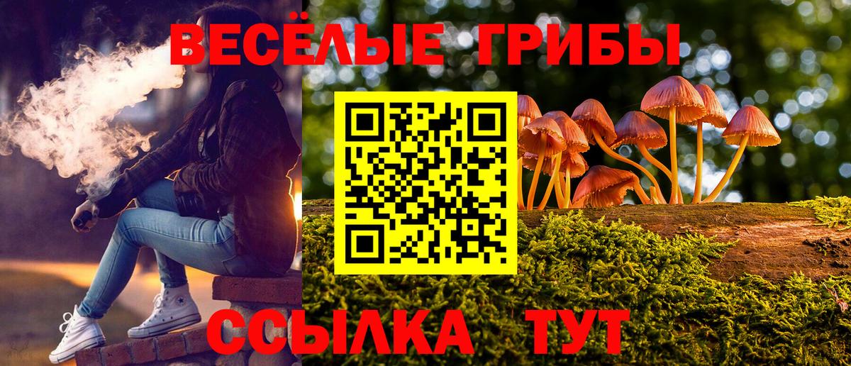 Псилоцибиновые грибы мухоморы  Дивногорск  Псилоцибиновые грибы Psilocybine cubensis 