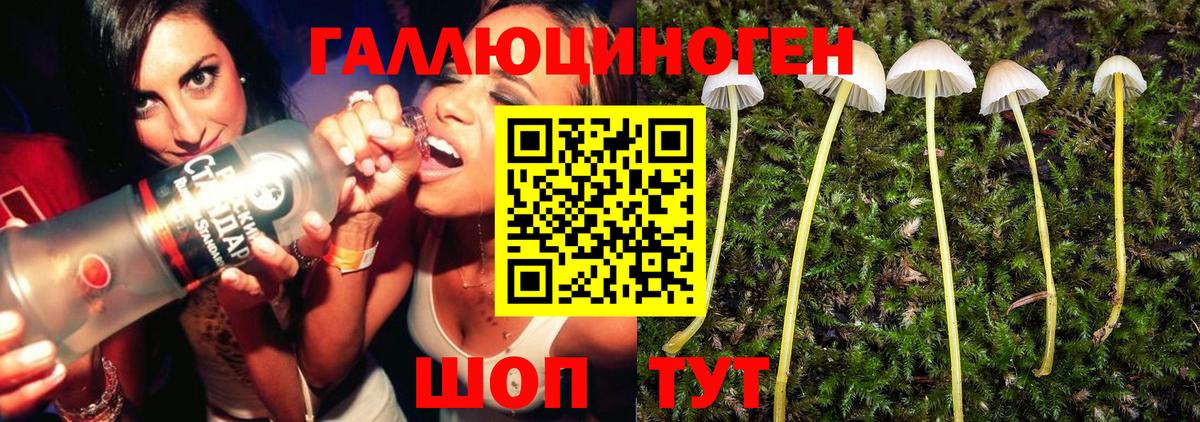 даркнет сайт  Псилоцибиновые грибы прущие грибы  Вход с VPN  Дивногорск 