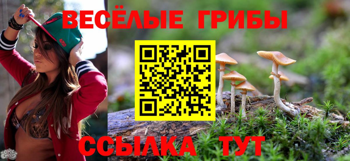 Галлюциногенные грибы GOLDEN TEACHER Дивногорск
