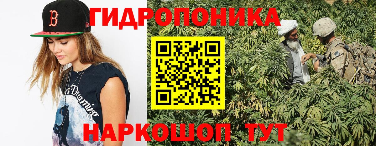 Канабис SATIVA & INDICA  Вход с VPN  Дивногорск  Бошки марихуана SATIVA & INDICA  Бошки марихуана Amnesia 